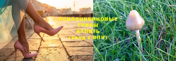 героин Богородицк