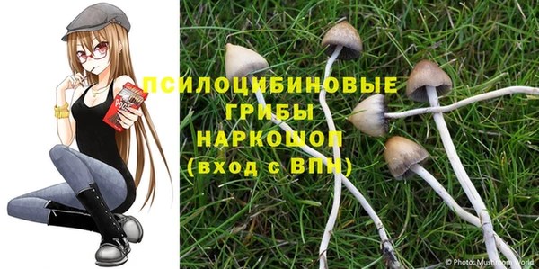 героин Богородицк