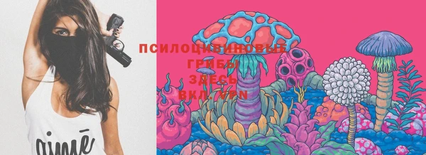 ешки Богданович