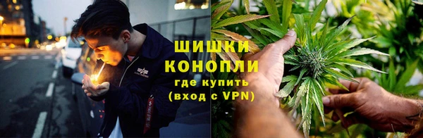 ешки Богданович