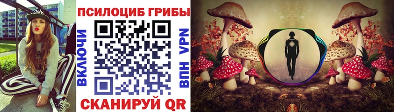 наркошоп  Будённовск  Псилоцибиновые грибы Magic Shrooms 